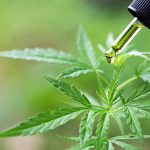 Le CBD contre le stress