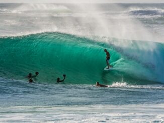 les amateurs de surf